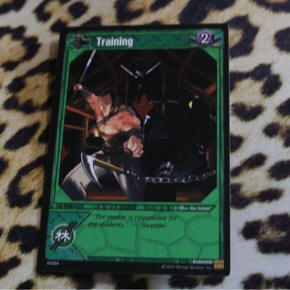 TMNT Training Trading Card - Picture 1 of 1